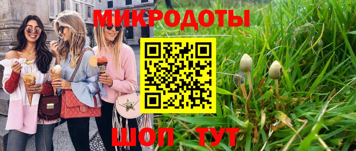 Псилоцибиновые грибы GOLDEN TEACHER Добрянка